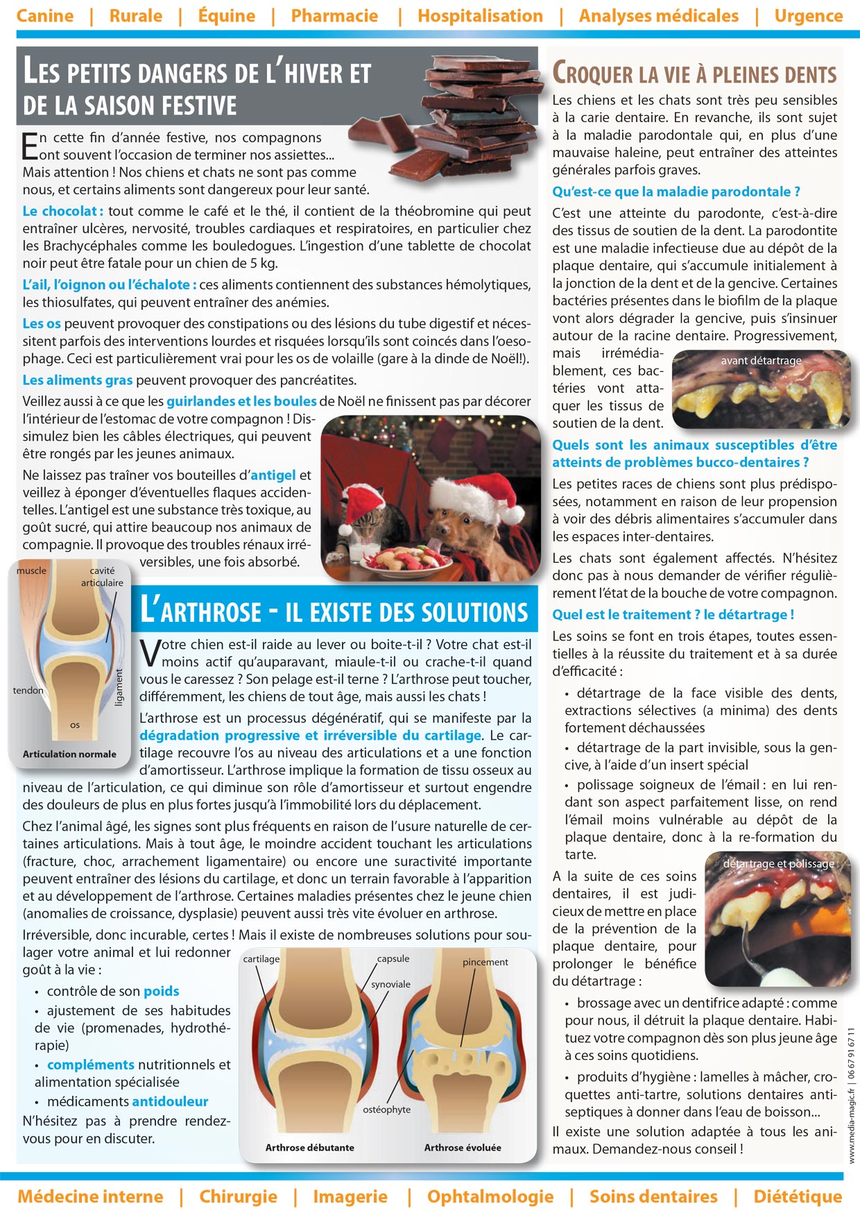 Newsletter - Hiver 2011-12 page 2