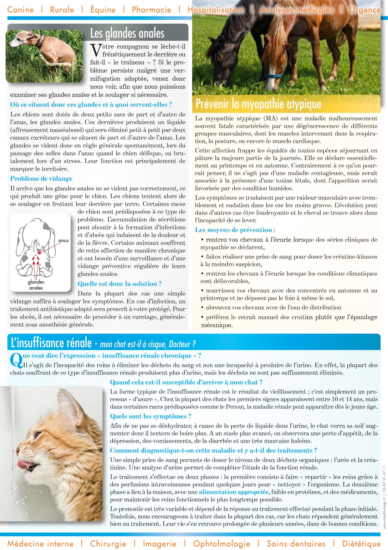 Newsletter - Automne 2012 page 2