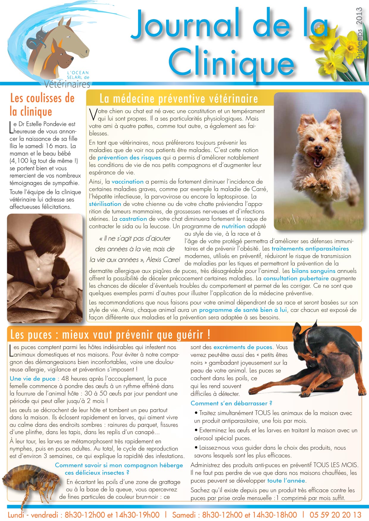 Le Journal de la Clinique - Printemps 2013 page 1