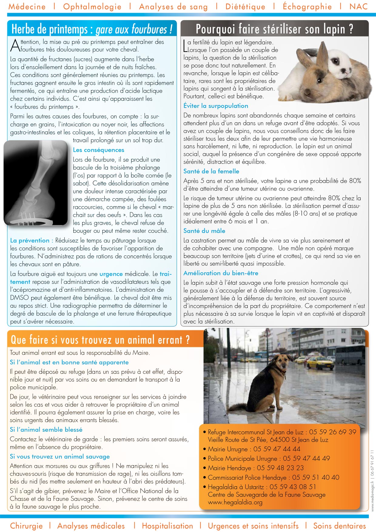 Le Journal de la Clinique - Printemps 2013 page 2