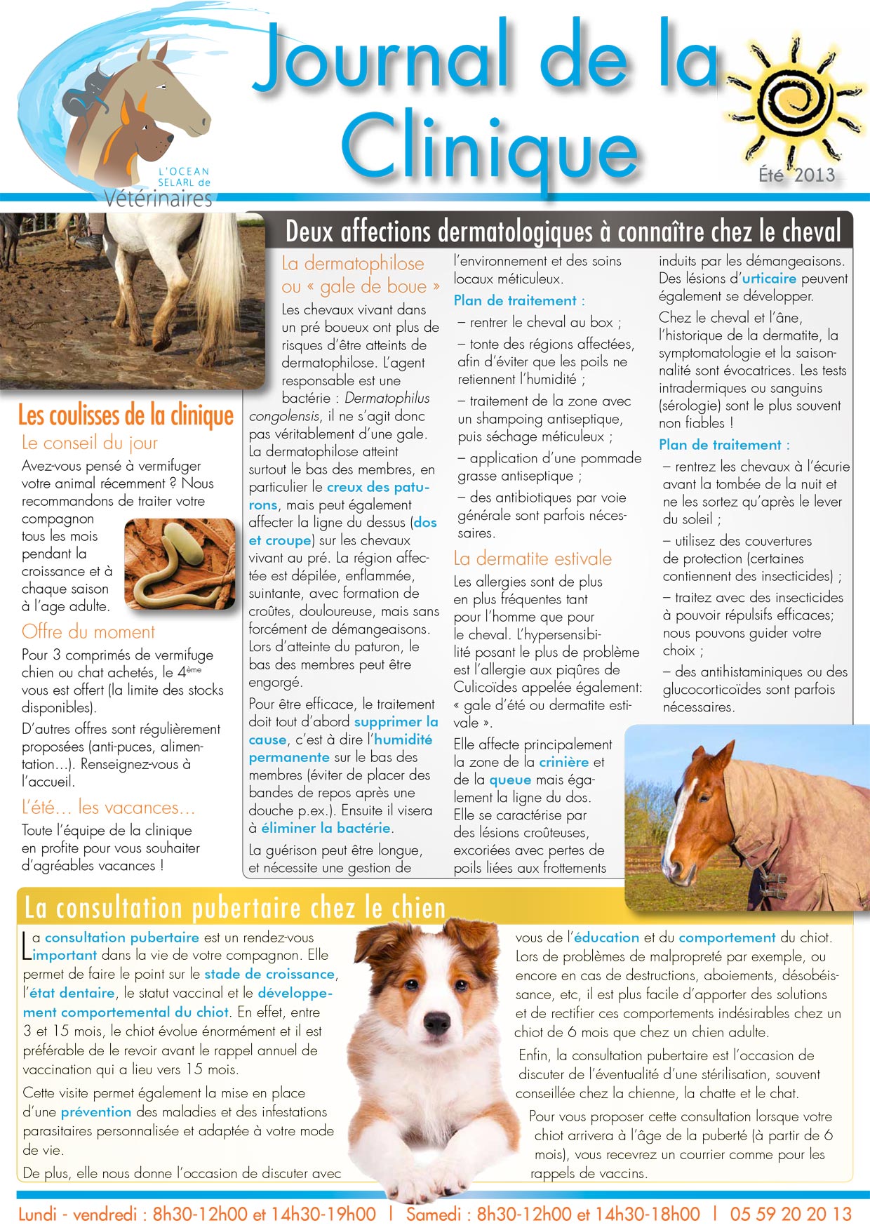 Le Journal de la Clinique - Eté 2013 page 1
