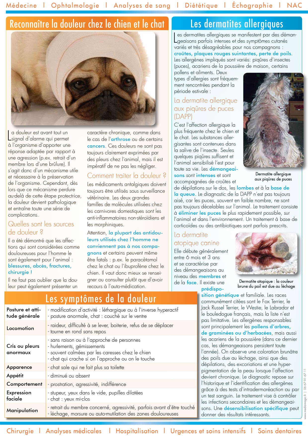 Le Journal de la Clinique - Eté 2013 page 2