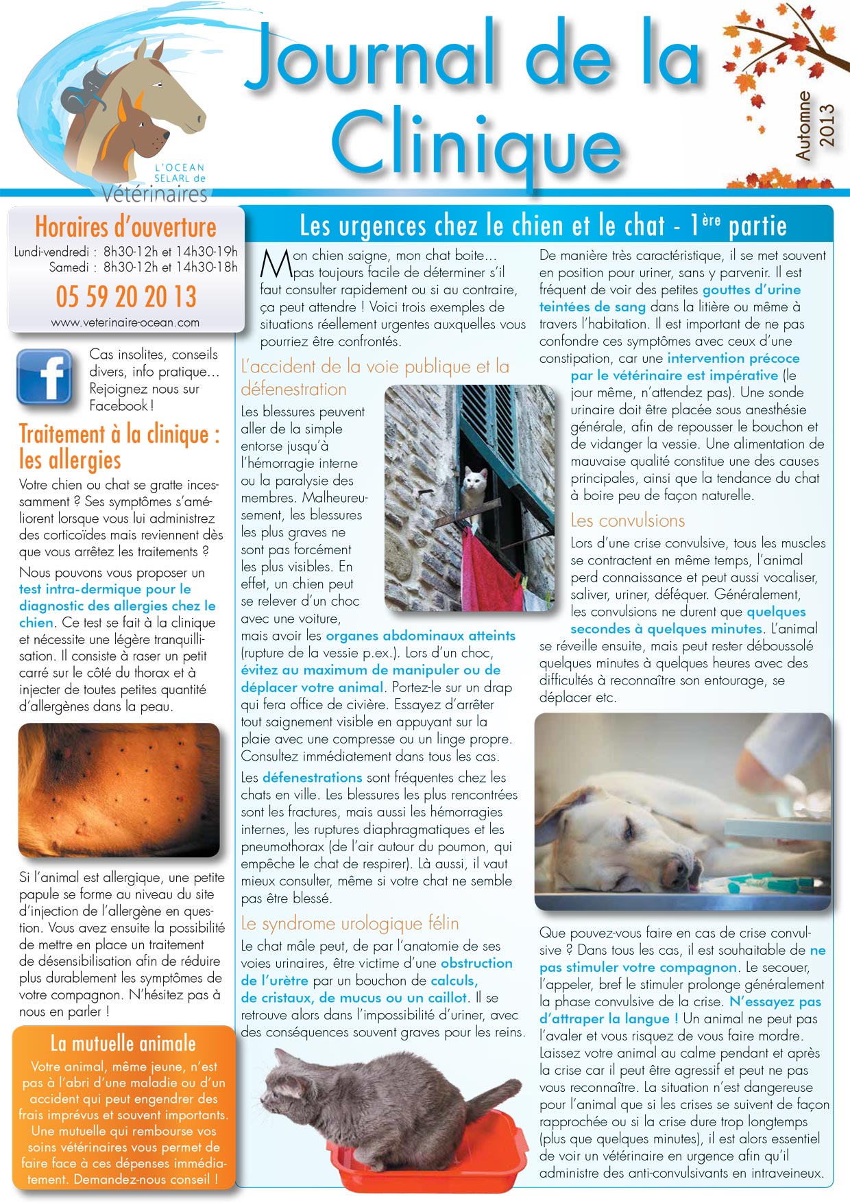Le Journal de la Clinique - Automne 2013 page 1