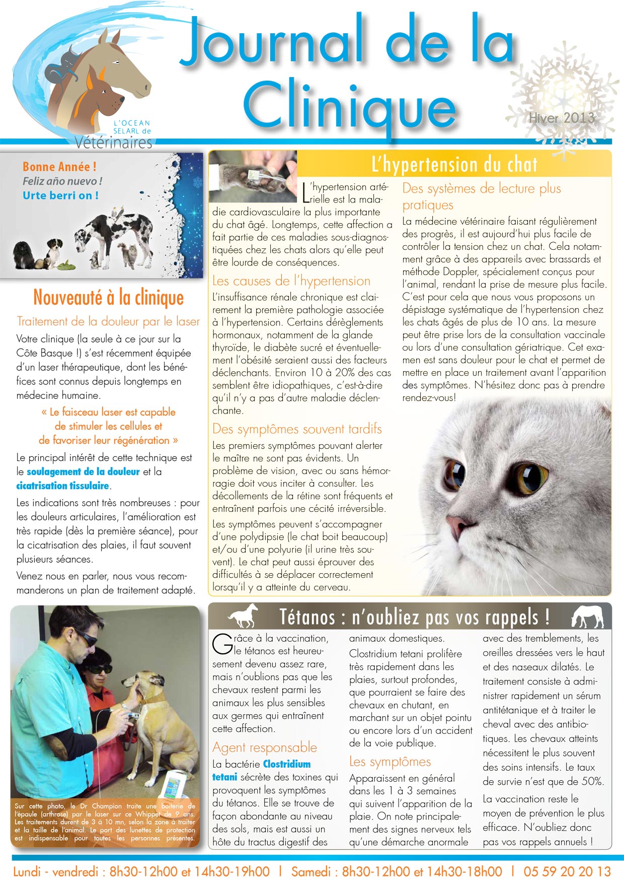 Le Journal de la Clinique - Hiver 2013-14 page 1
