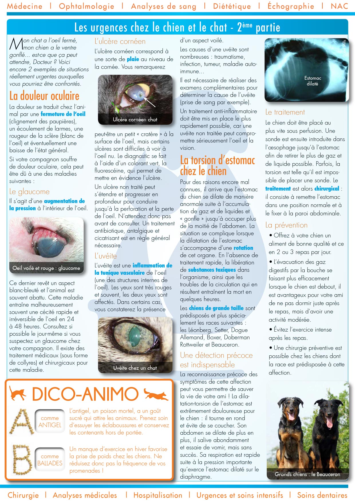 Le Journal de la Clinique - Hiver 2013-14 page 2