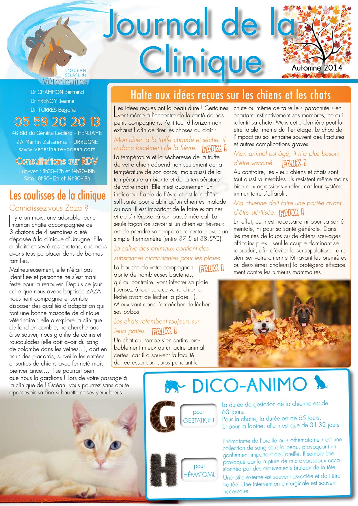 Le Journal de la Clinique - Automne 2014 page 1