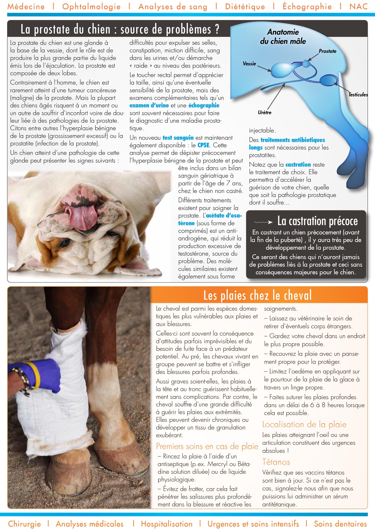 Le Journal de la Clinique - Automne 2014 page 2