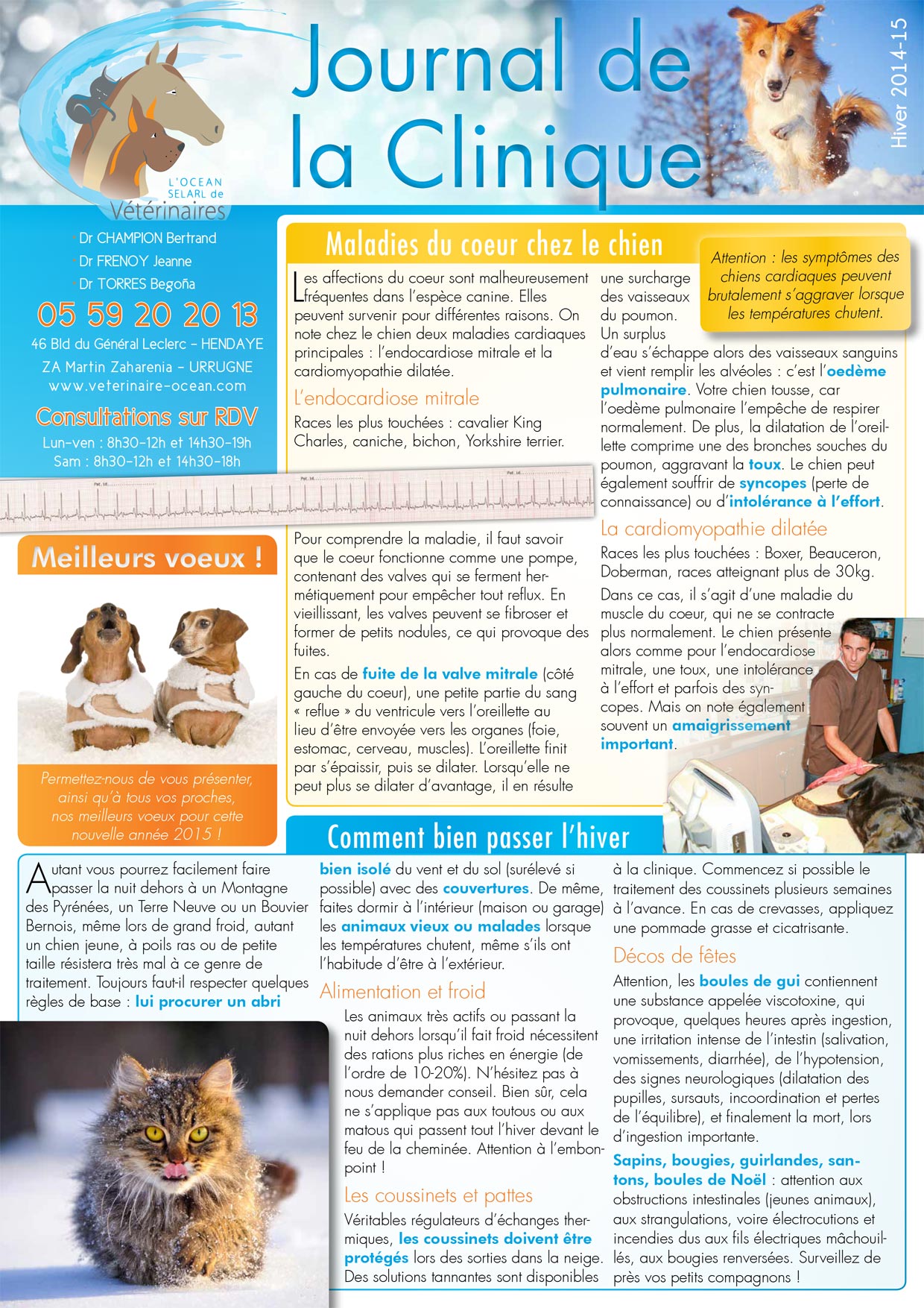 Le Journal de la Clinique - Hiver 2014-15 page 1