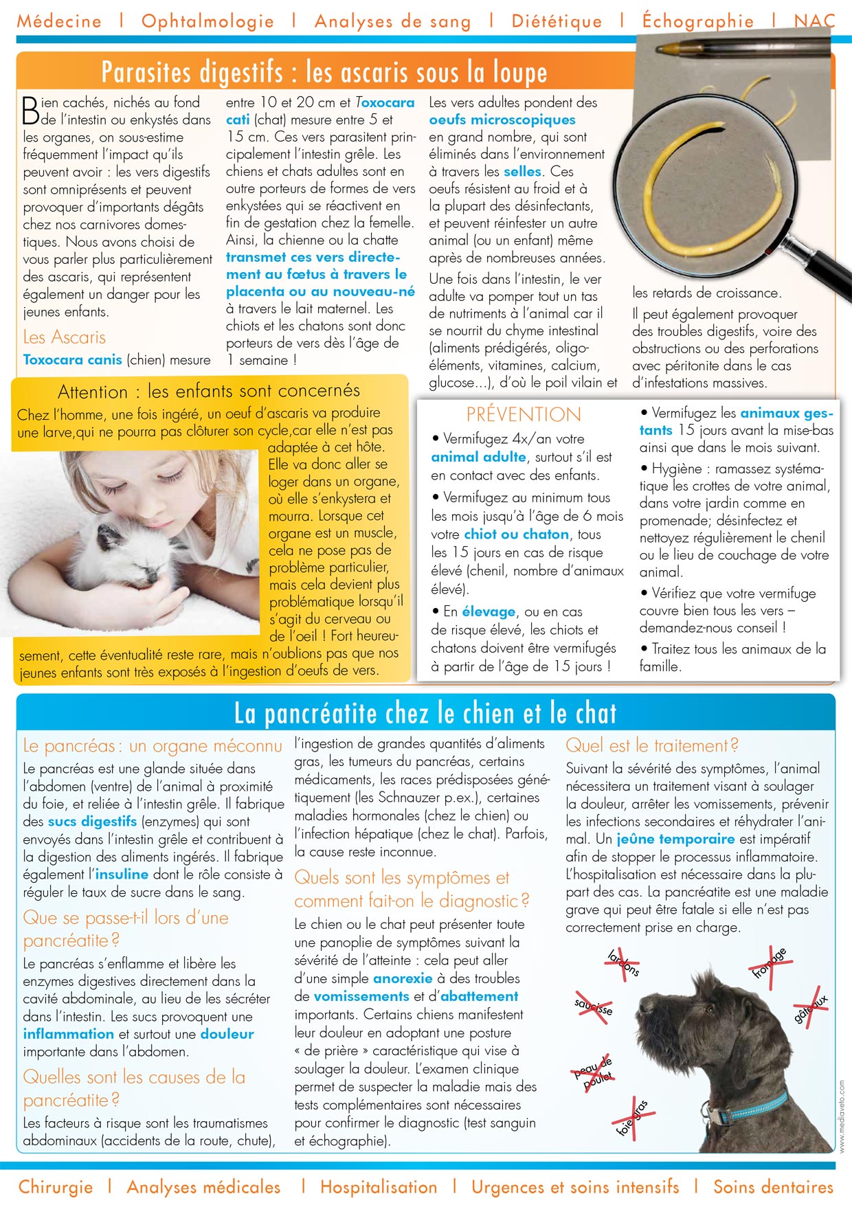 Le Journal de la Clinique - Hiver 2014-15 page 2