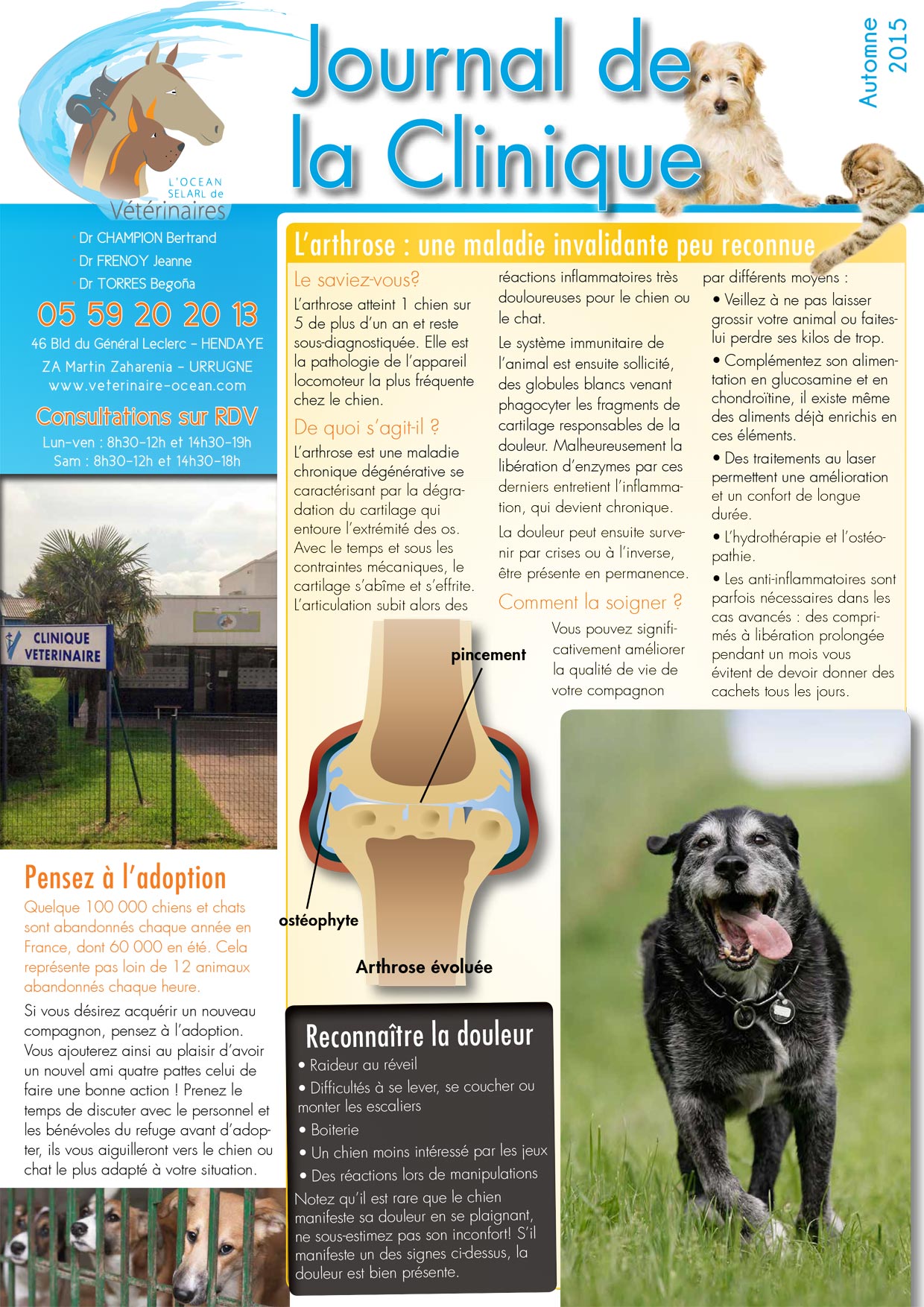 Le Journal de la Clinique - Automne 2015 page 1