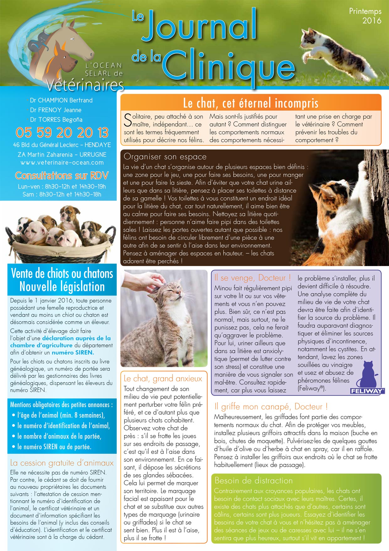 Le Journal de la Clinique - Printemps 2016 page 1