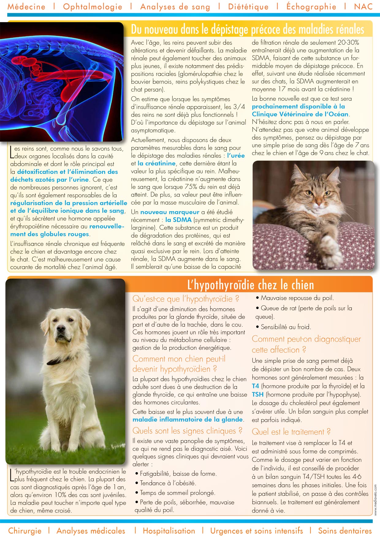 Le Journal de la Clinique - Printemps 2016 page 2