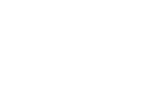 Logo Vétérinaires Océan