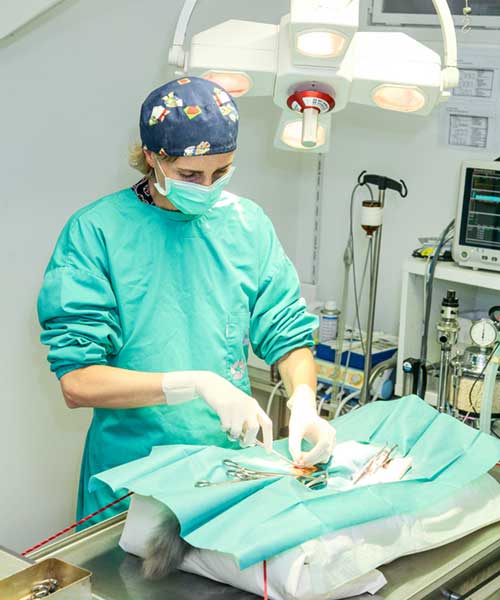 Anestesia y cirugía